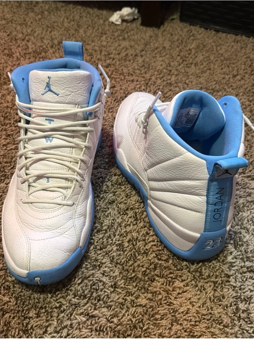 jordan 12 retro “melos”